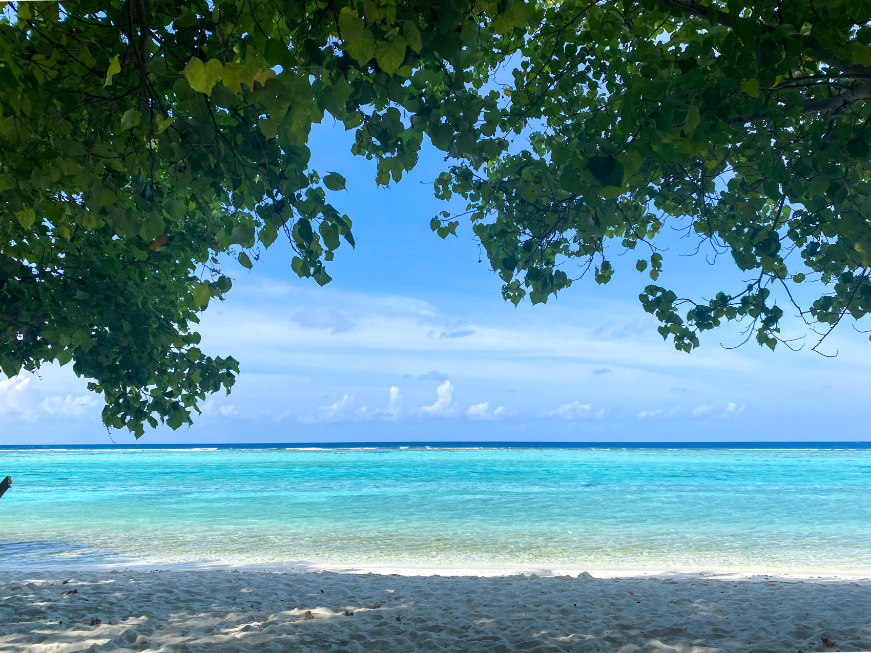 Тропическая дача: райский дайвинг, акулы и релакс (29/133)