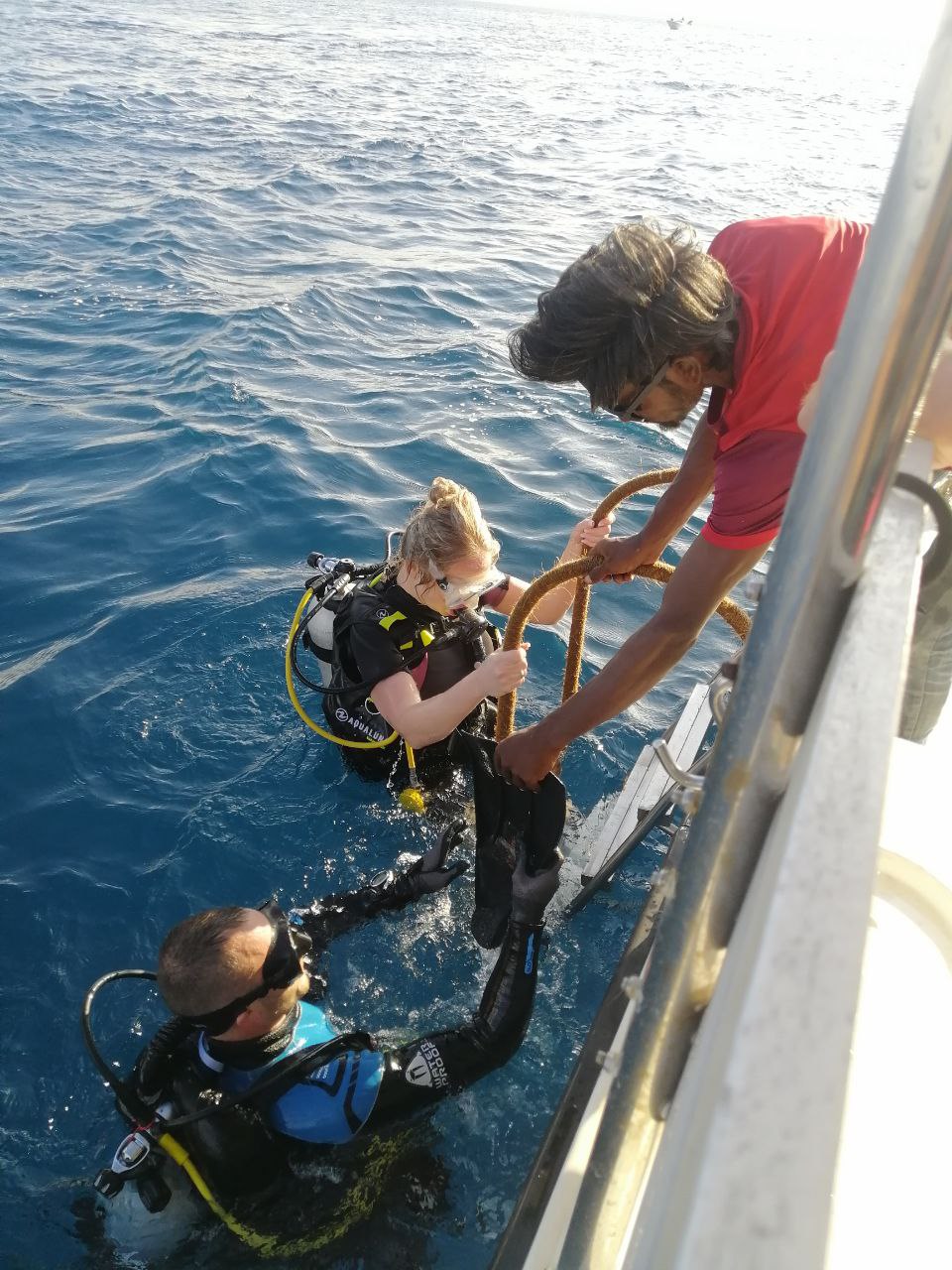 Тропическая дача: райский дайвинг, акулы и релакс (47/133)