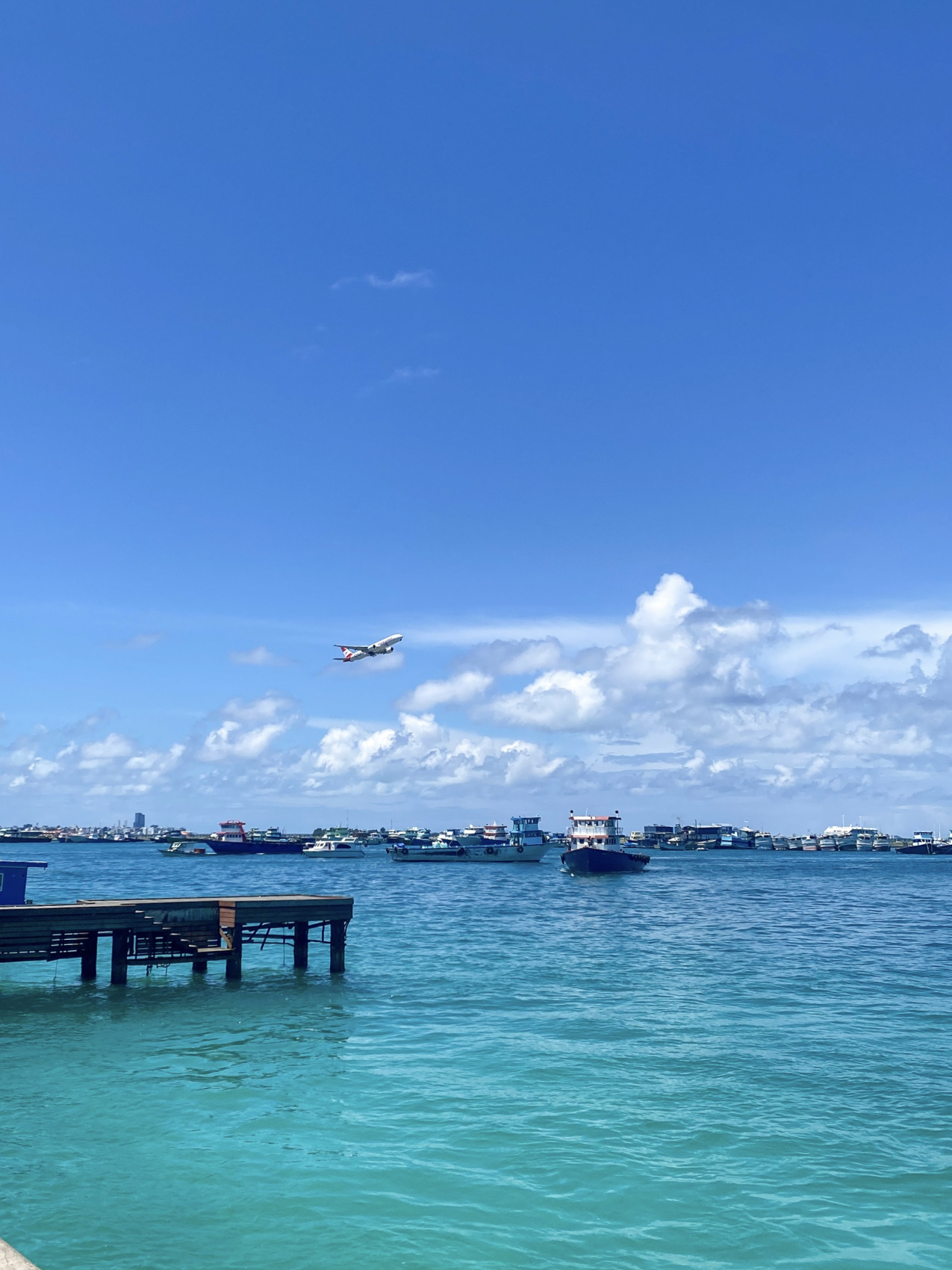 Тропическая дача: райский дайвинг, акулы и релакс (49/133)