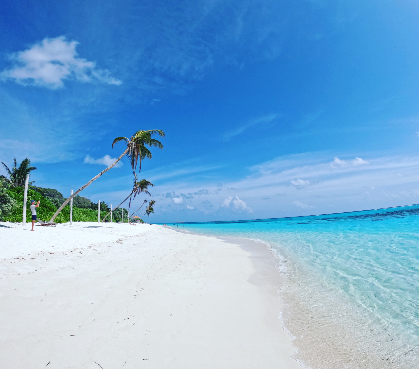 Тропическая дача: райский дайвинг, акулы и релакс (19/133)