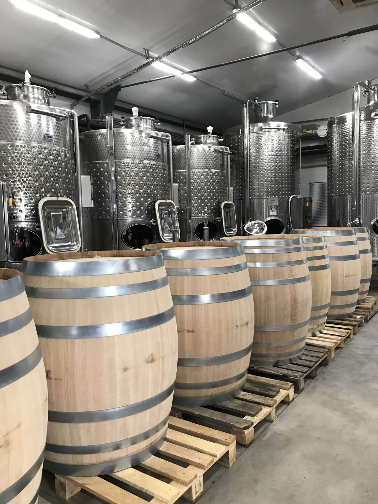 Новые винные дороги Кубани - от Анапы до Геленджика (17/45)