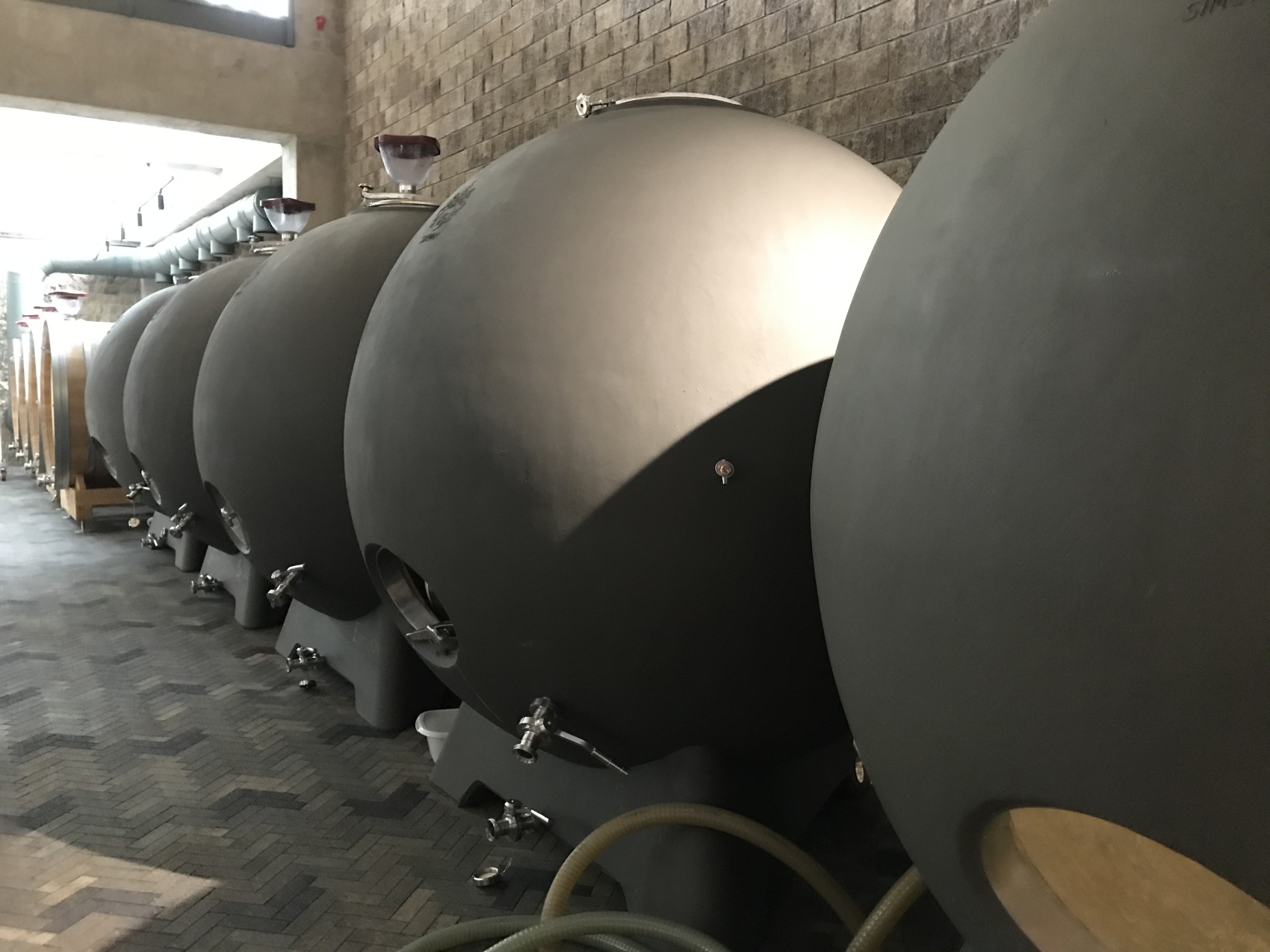 Новые винные дороги Кубани - от Анапы до Геленджика (20/45)