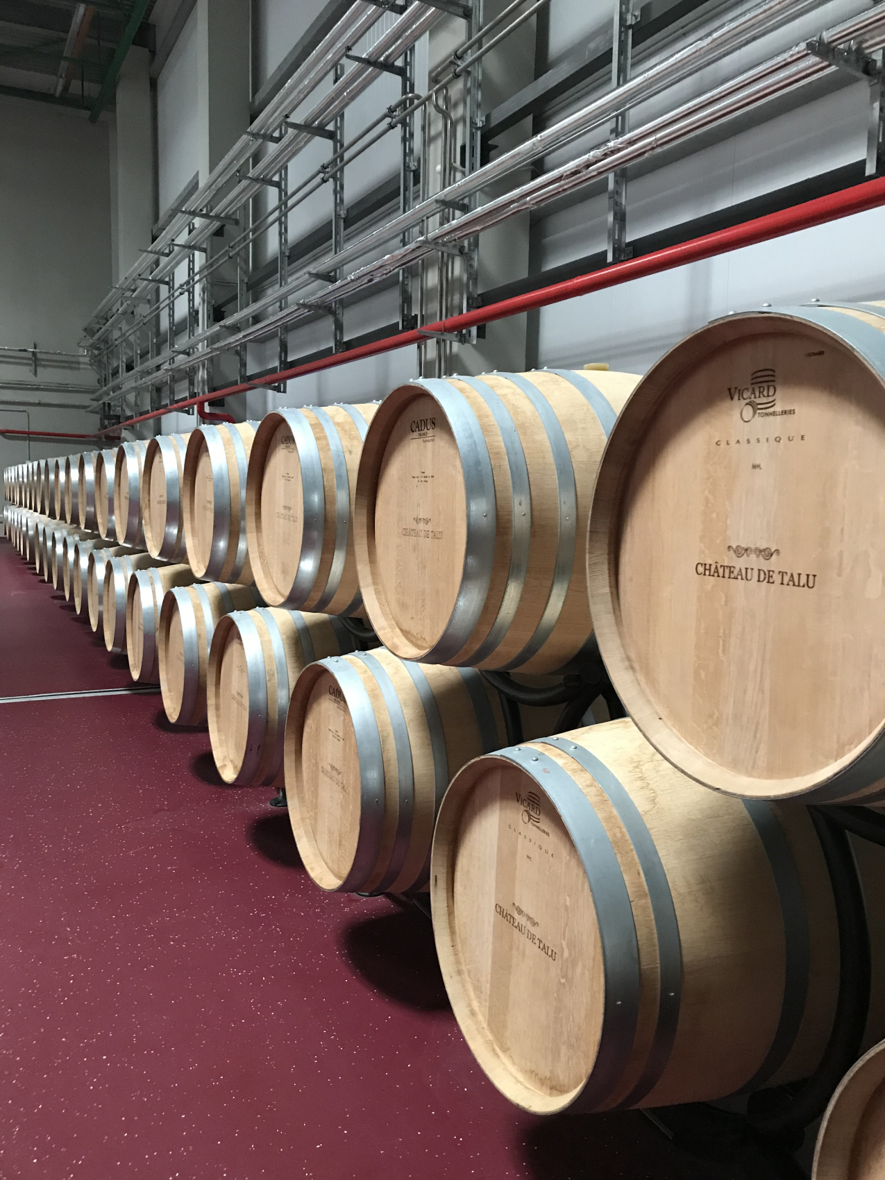 Новые винные дороги Кубани - от Анапы до Геленджика (15/45)