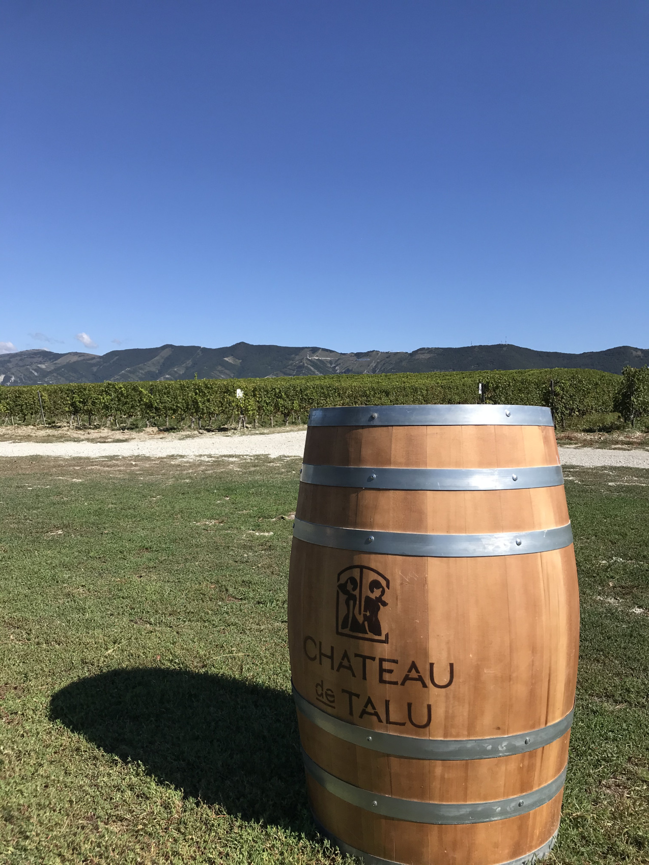 Новые винные дороги Кубани - от Анапы до Геленджика (10/45)