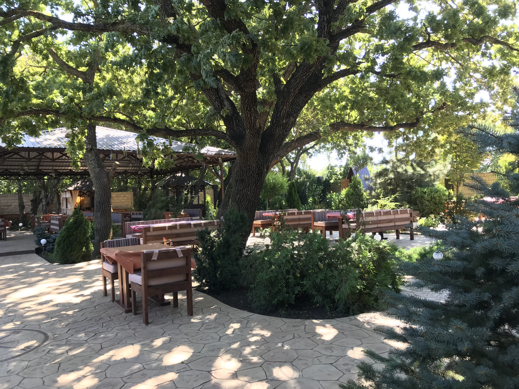 Новые винные дороги Кубани - от Анапы до Геленджика (11/45)