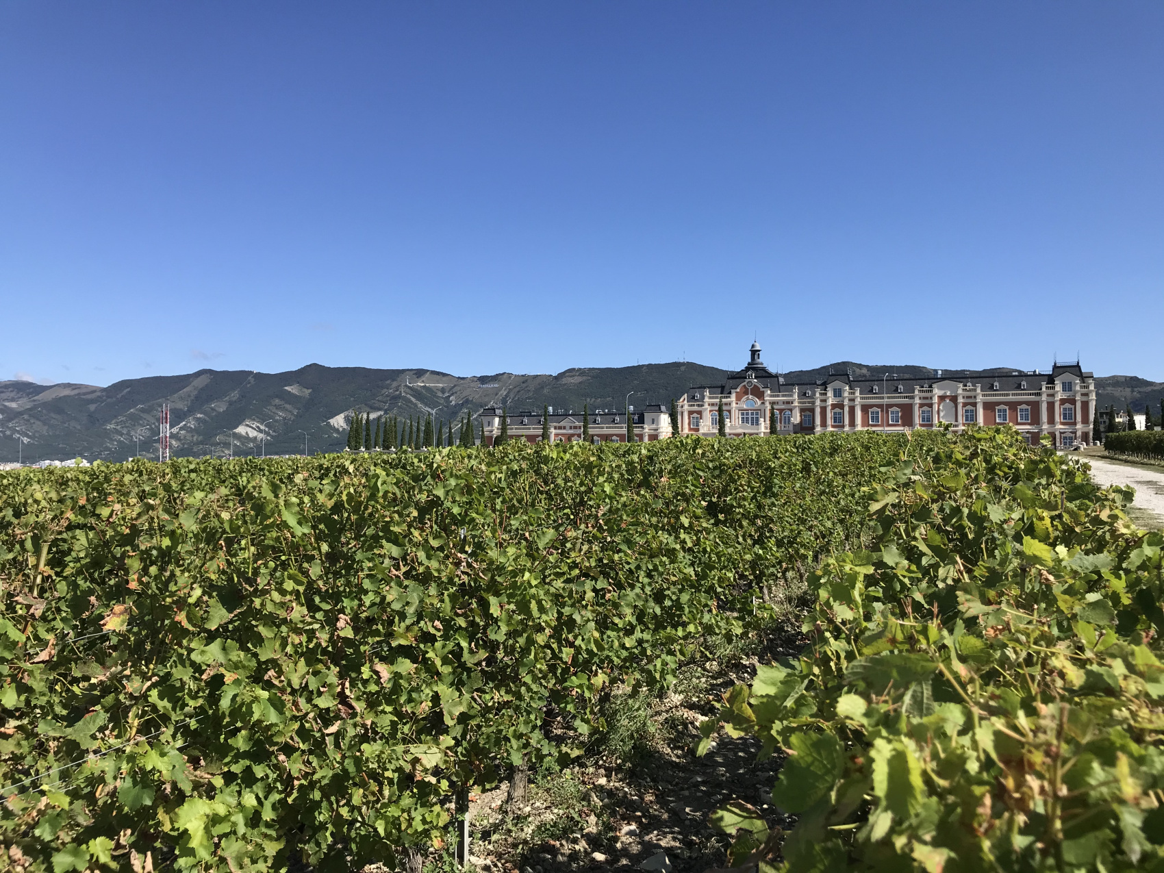 Новые винные дороги Кубани - от Анапы до Геленджика (13/45)