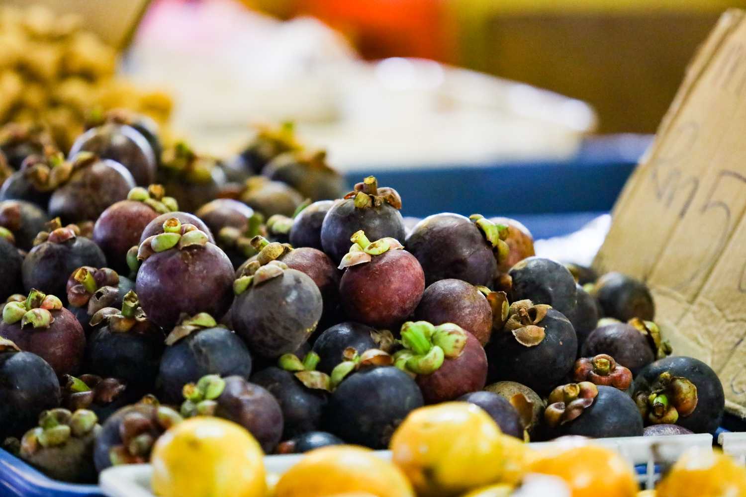 По джунглям Борнео. Малайзия и Бруней. (17/54)