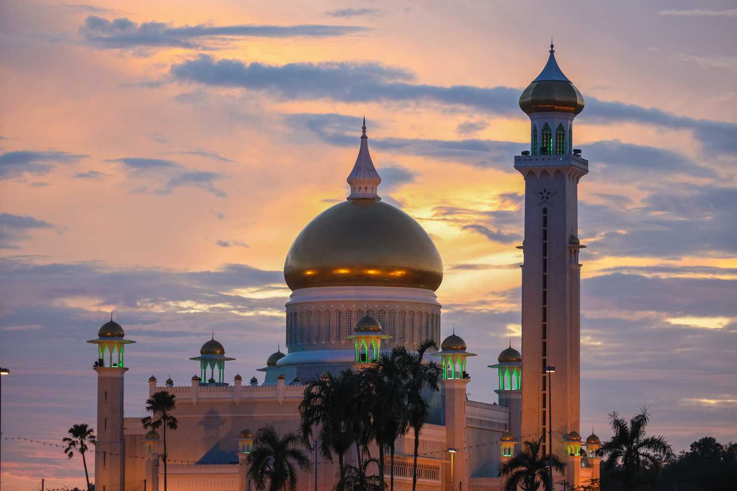 По джунглям Борнео. Малайзия и Бруней. (6/54)