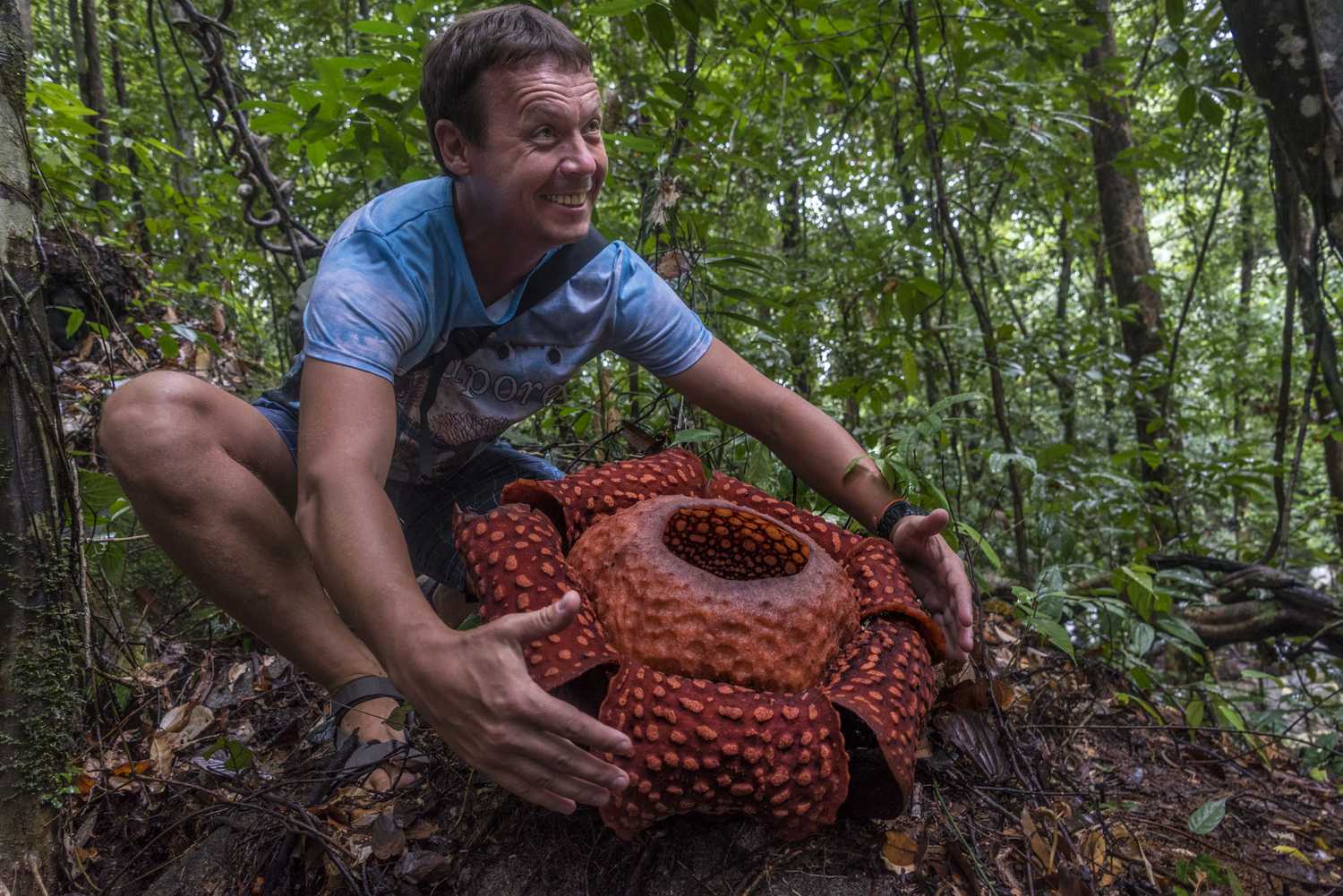 По джунглям Борнео. Малайзия и Бруней. (8/54)