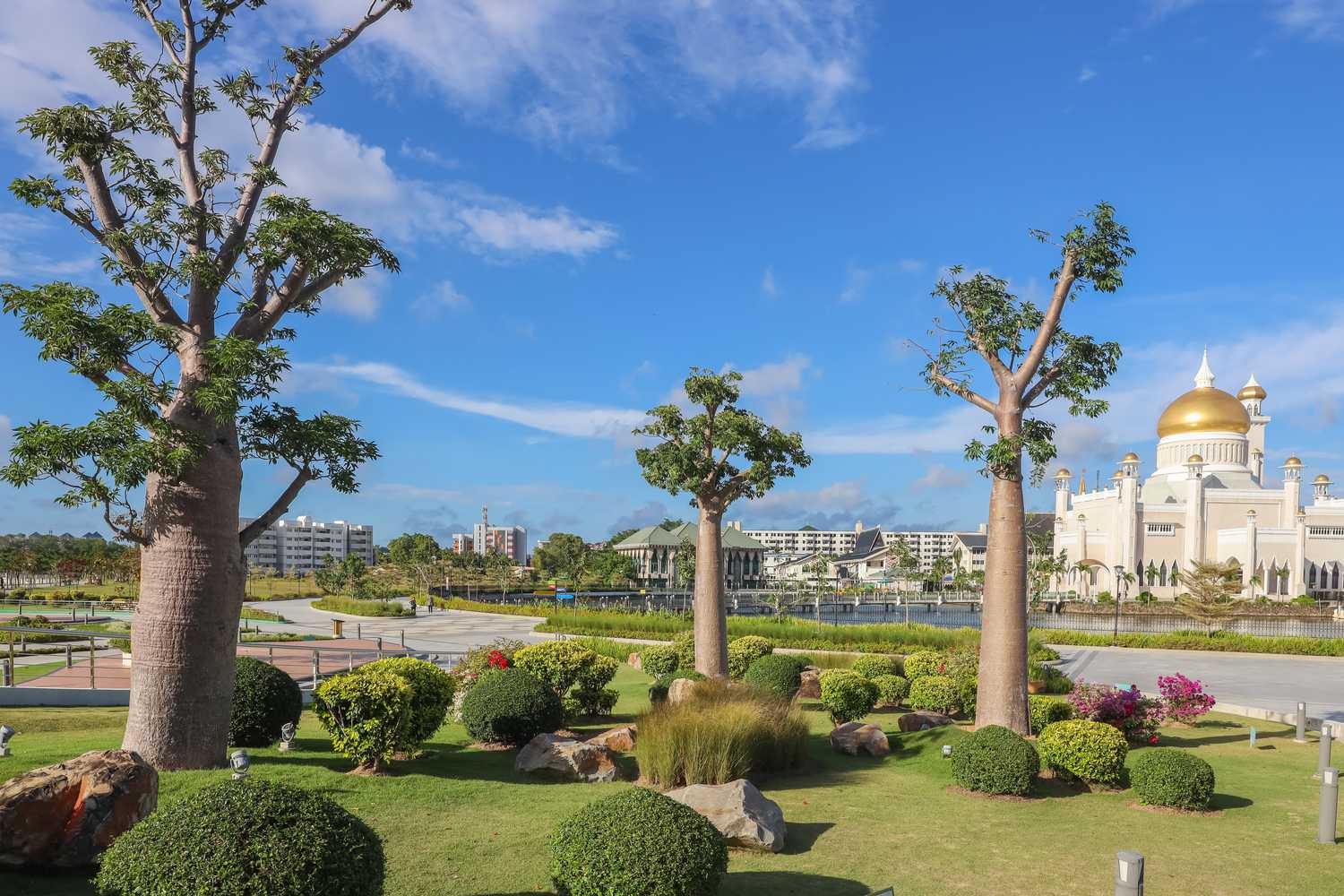 По джунглям Борнео. Малайзия и Бруней. (13/54)