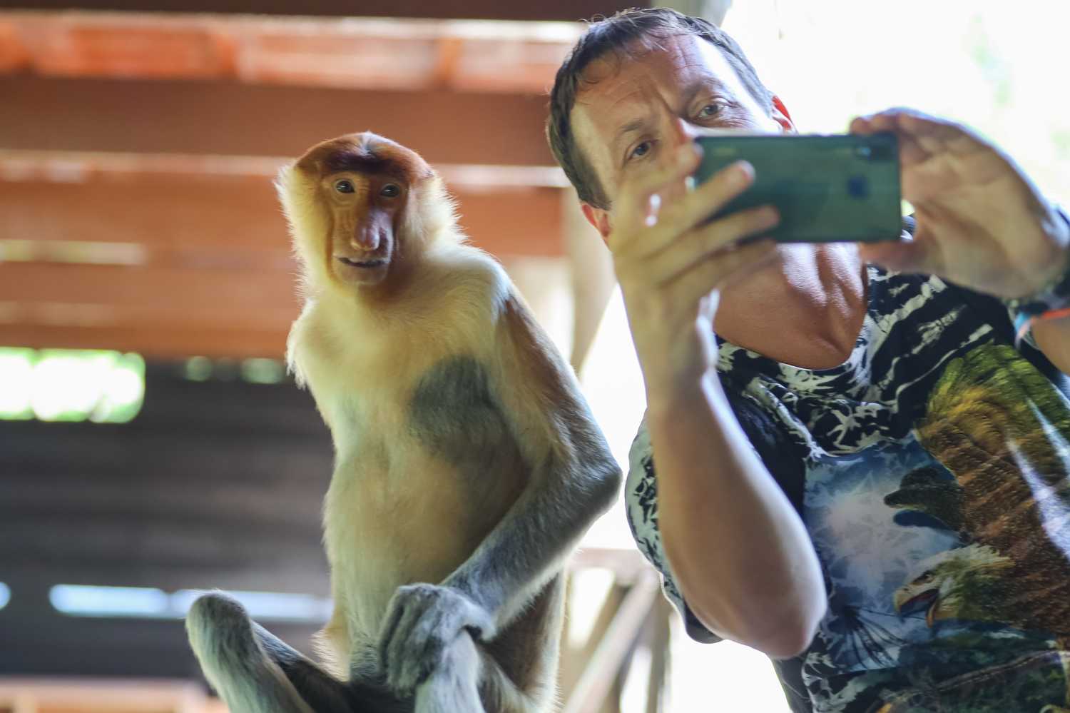 По джунглям Борнео. Малайзия и Бруней. (19/54)