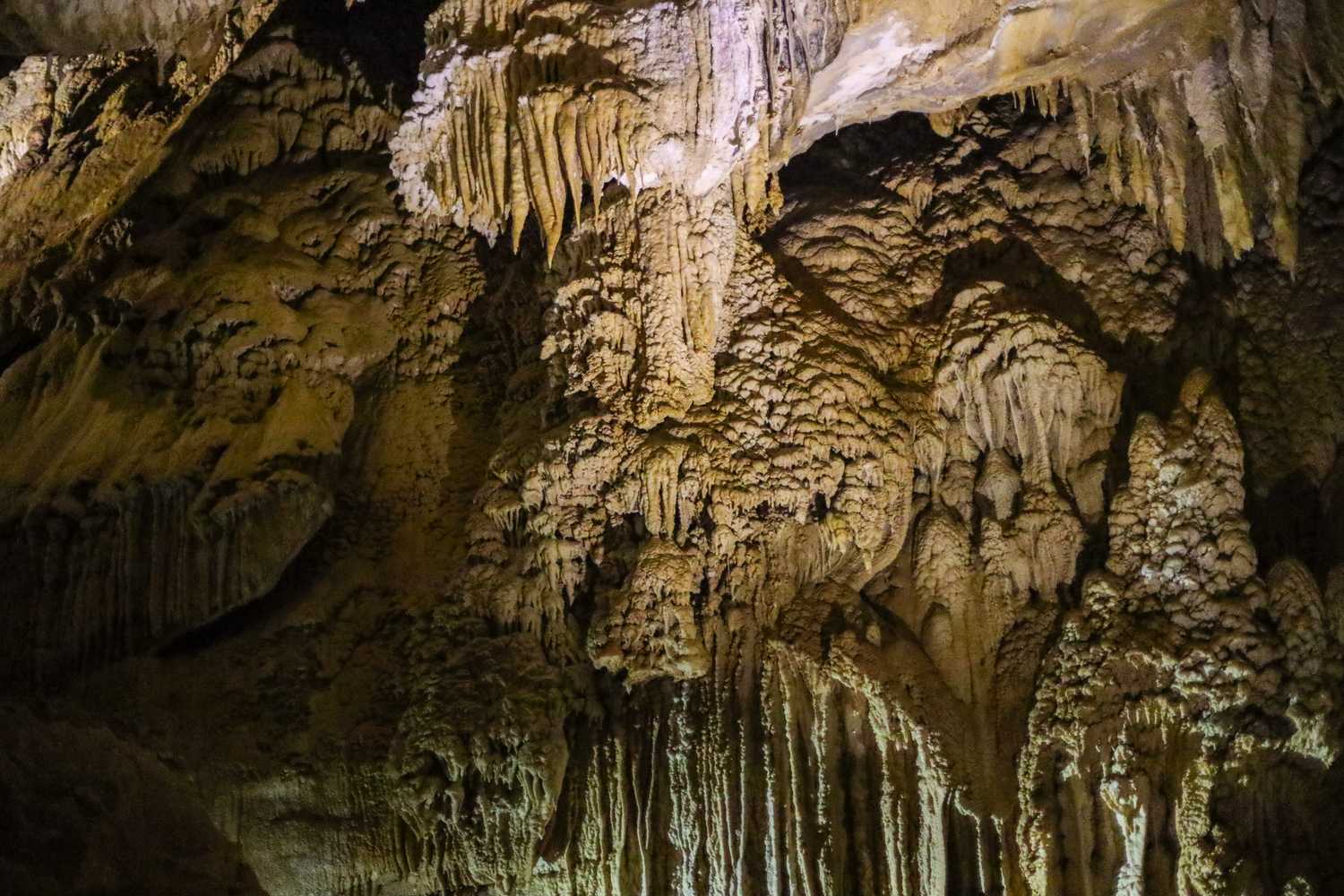 По джунглям Борнео. Малайзия и Бруней. (9/54)