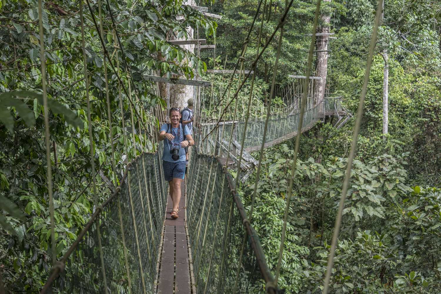 По джунглям Борнео. Малайзия и Бруней. (12/54)