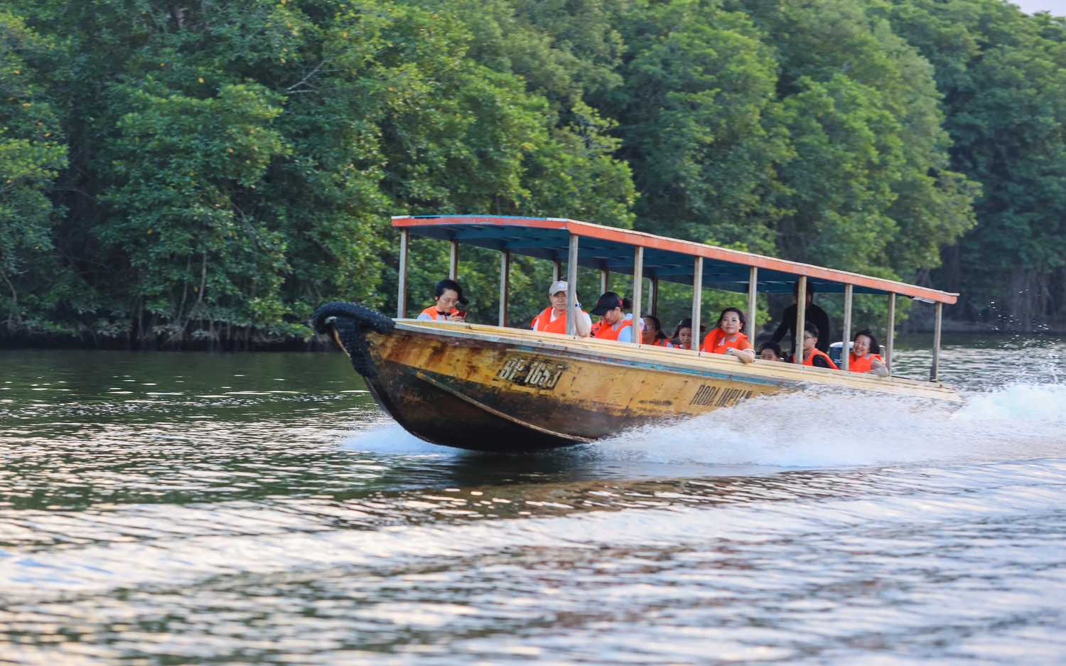 По джунглям Борнео. Малайзия и Бруней. (3/54)