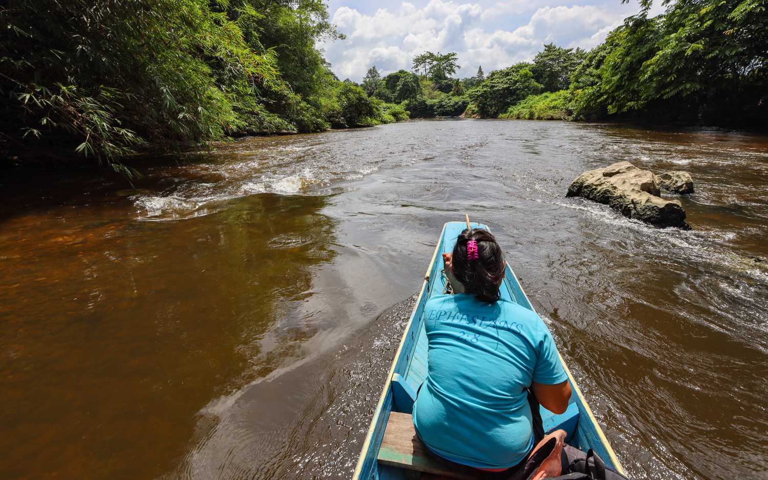 По джунглям Борнео. Малайзия и Бруней. (11/54)