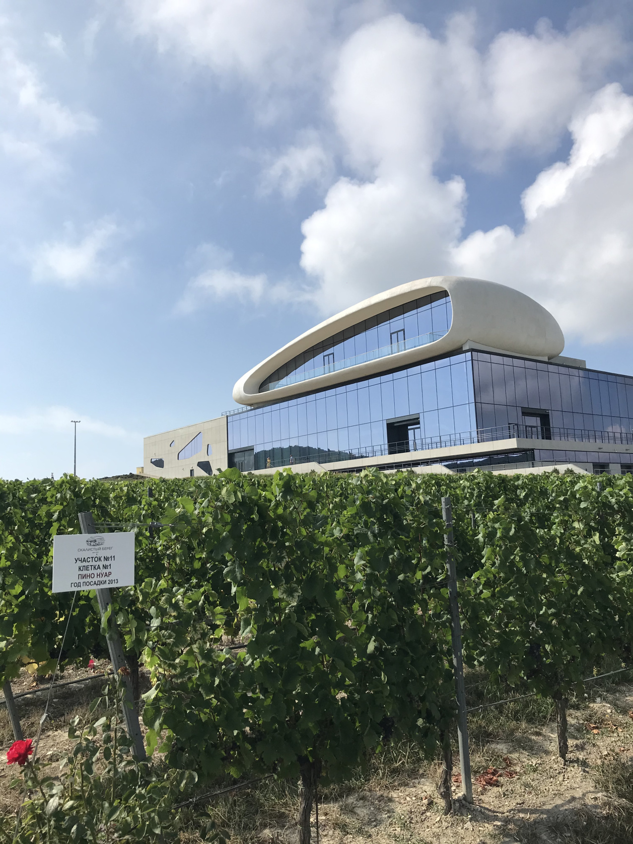 Новые винные дороги Кубани - от Анапы до Геленджика (28/45)