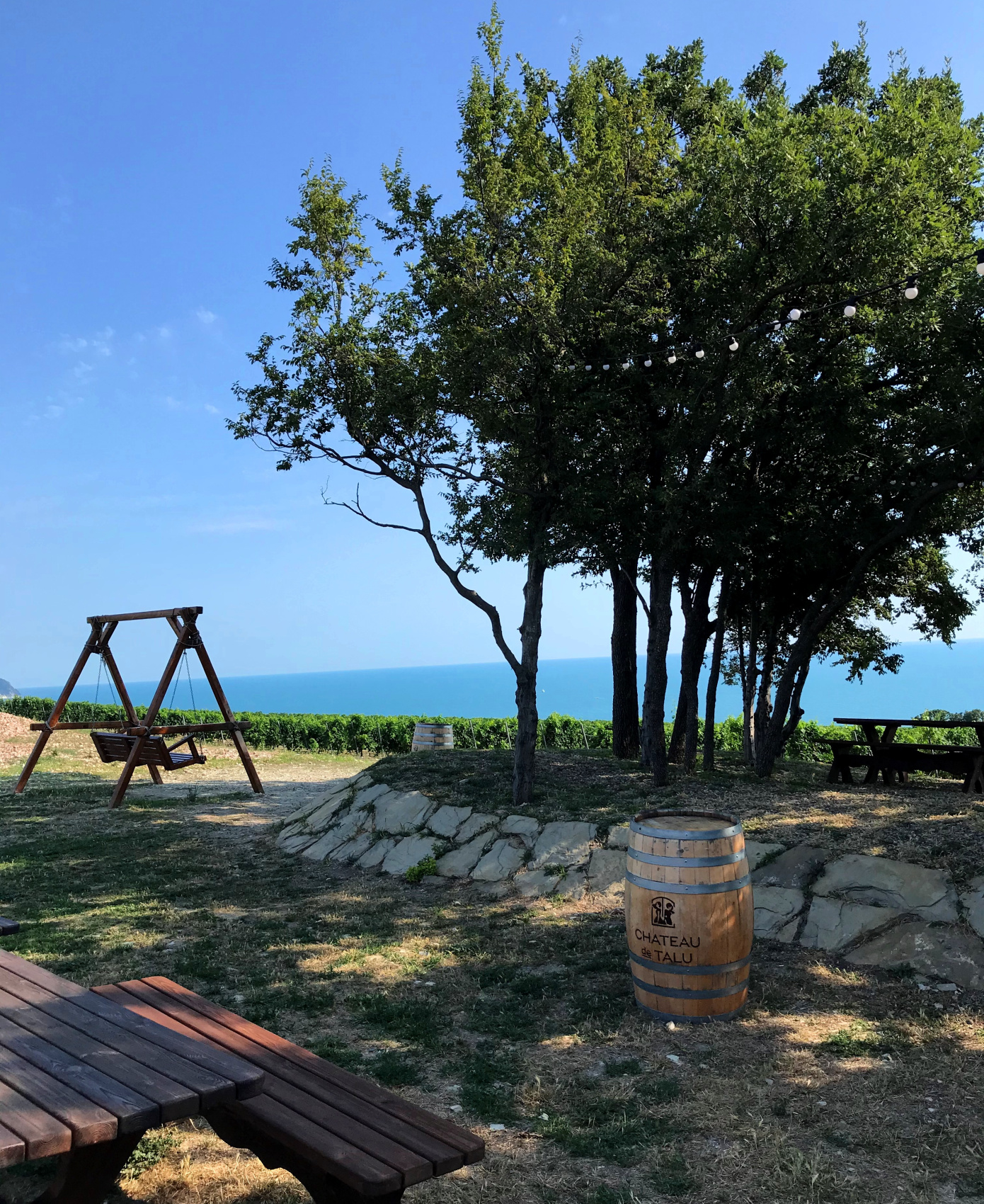 Новые винные дороги Кубани - от Анапы до Геленджика (25/45)