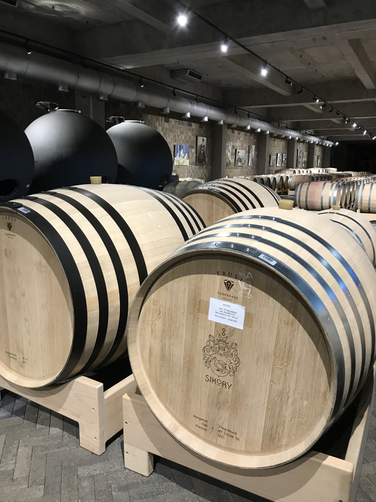 Новые винные дороги Кубани - от Анапы до Геленджика (24/45)