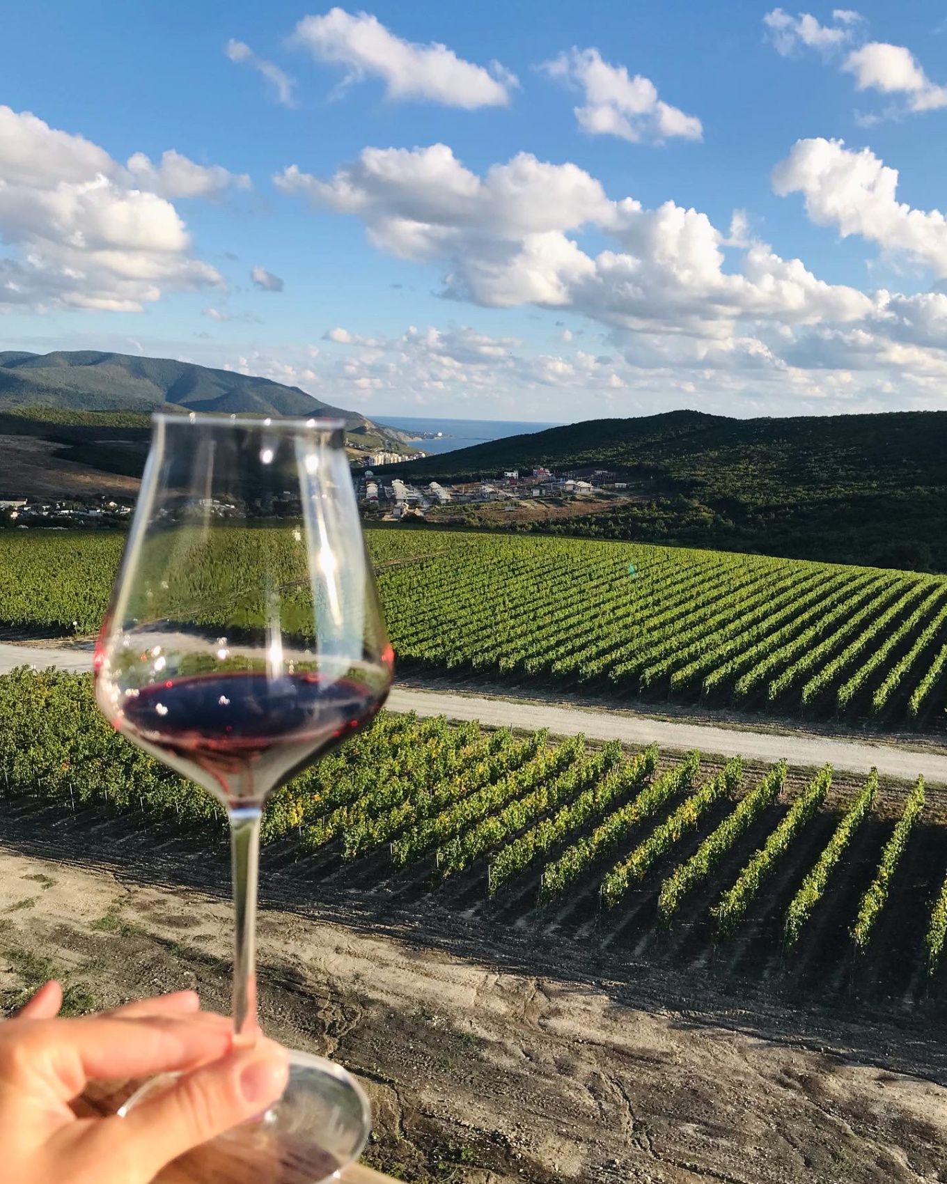 Новые винные дороги Кубани - от Анапы до Геленджика (2/45)