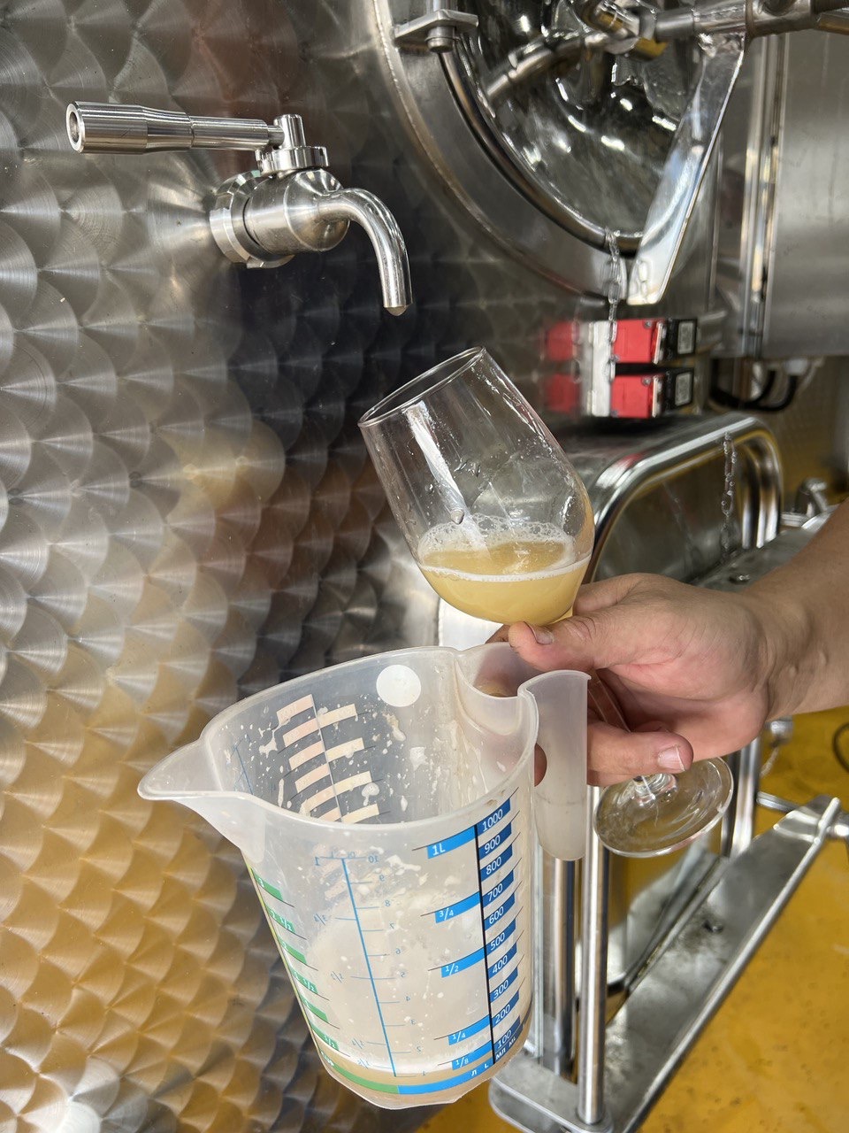 Новые винные дороги Кубани - от Анапы до Геленджика (32/45)