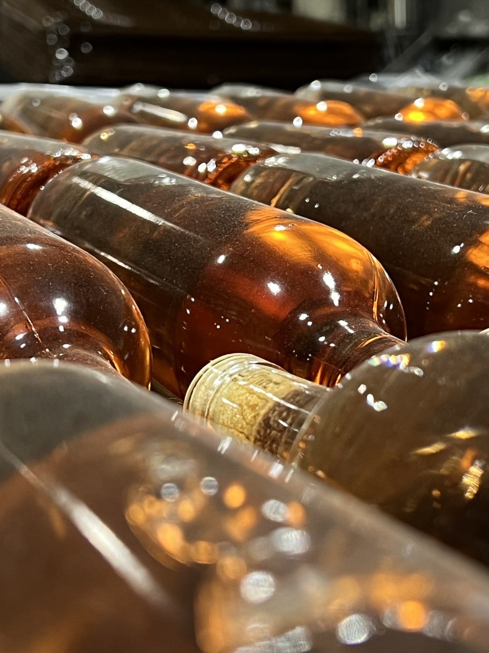 Новые винные дороги Кубани - от Анапы до Геленджика (30/45)