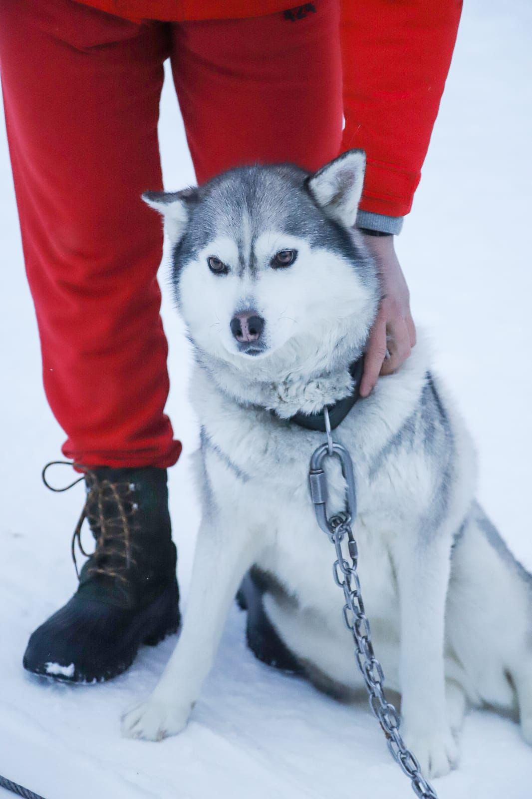 Гастротур 2.0 на Кольский полуостров + 3 экскурсии (10/33)