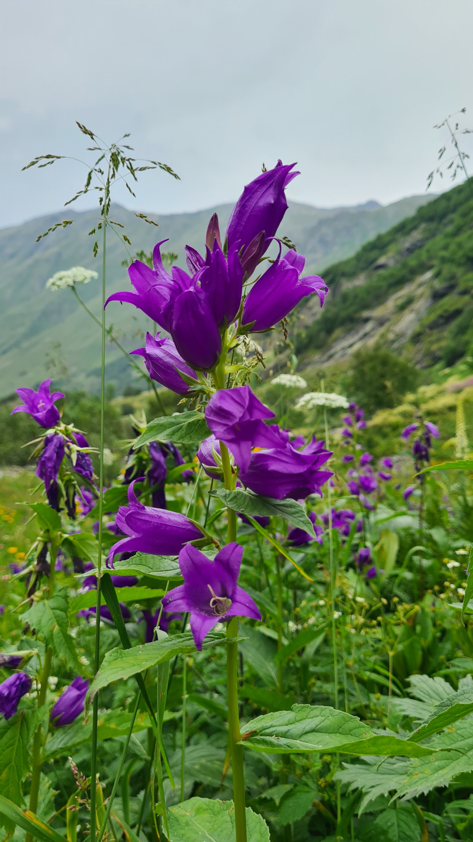 Домбай на ладони. (16/59)