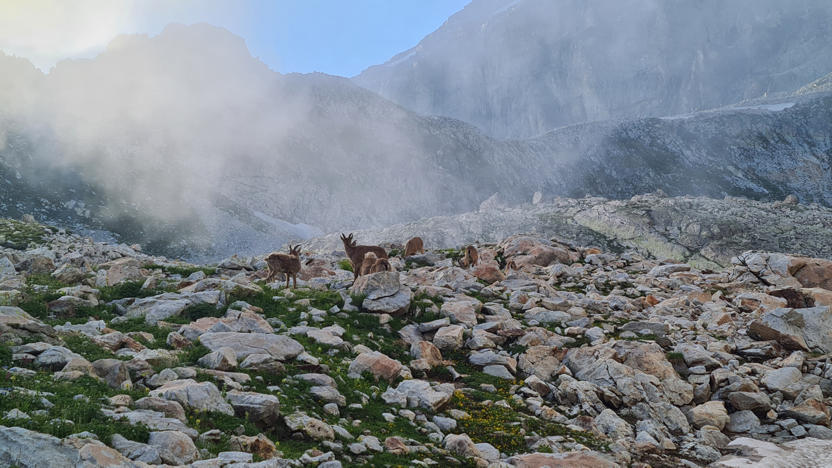 Домбай на ладони. (13/59)