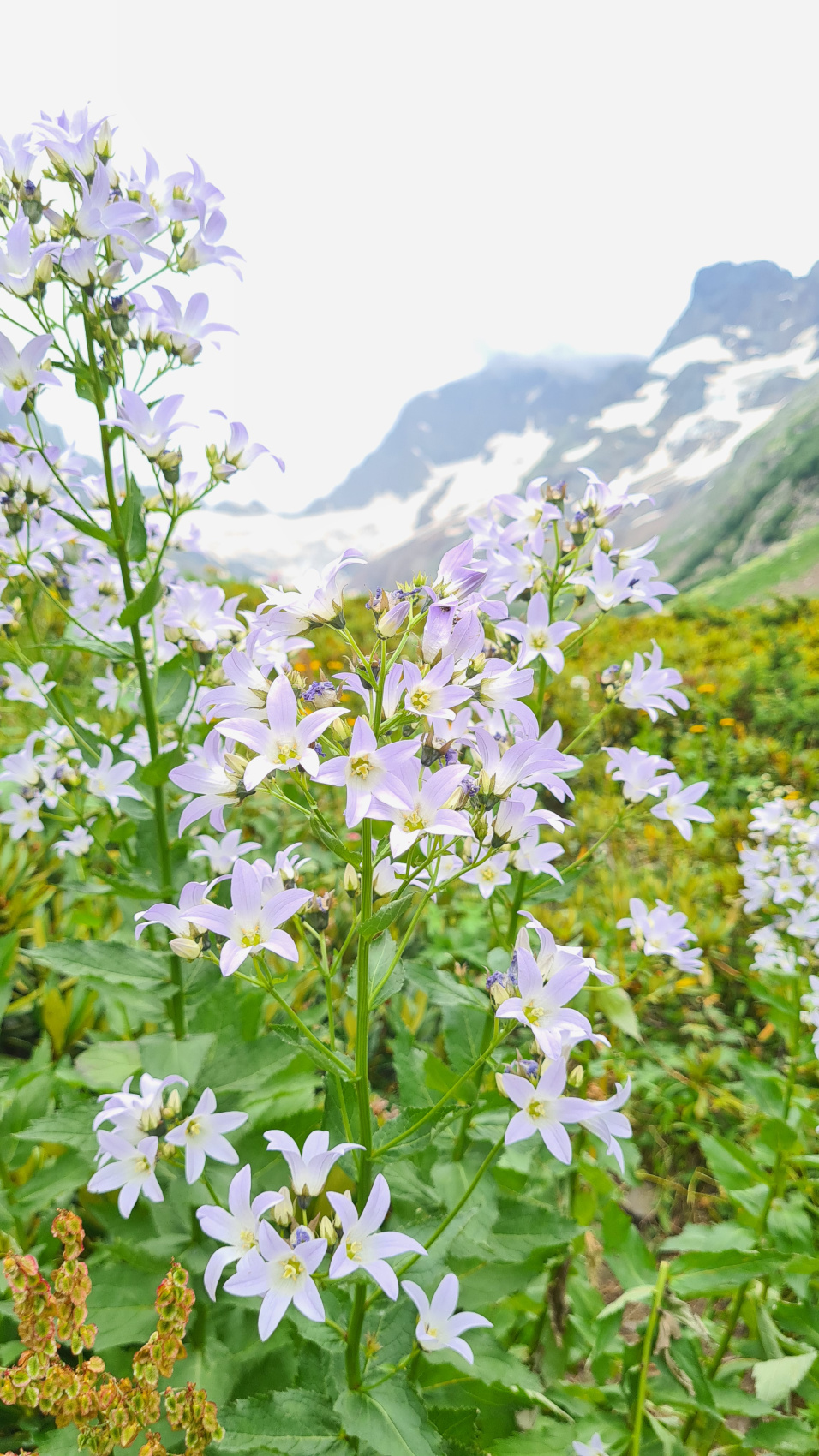 Домбай на ладони. (5/59)