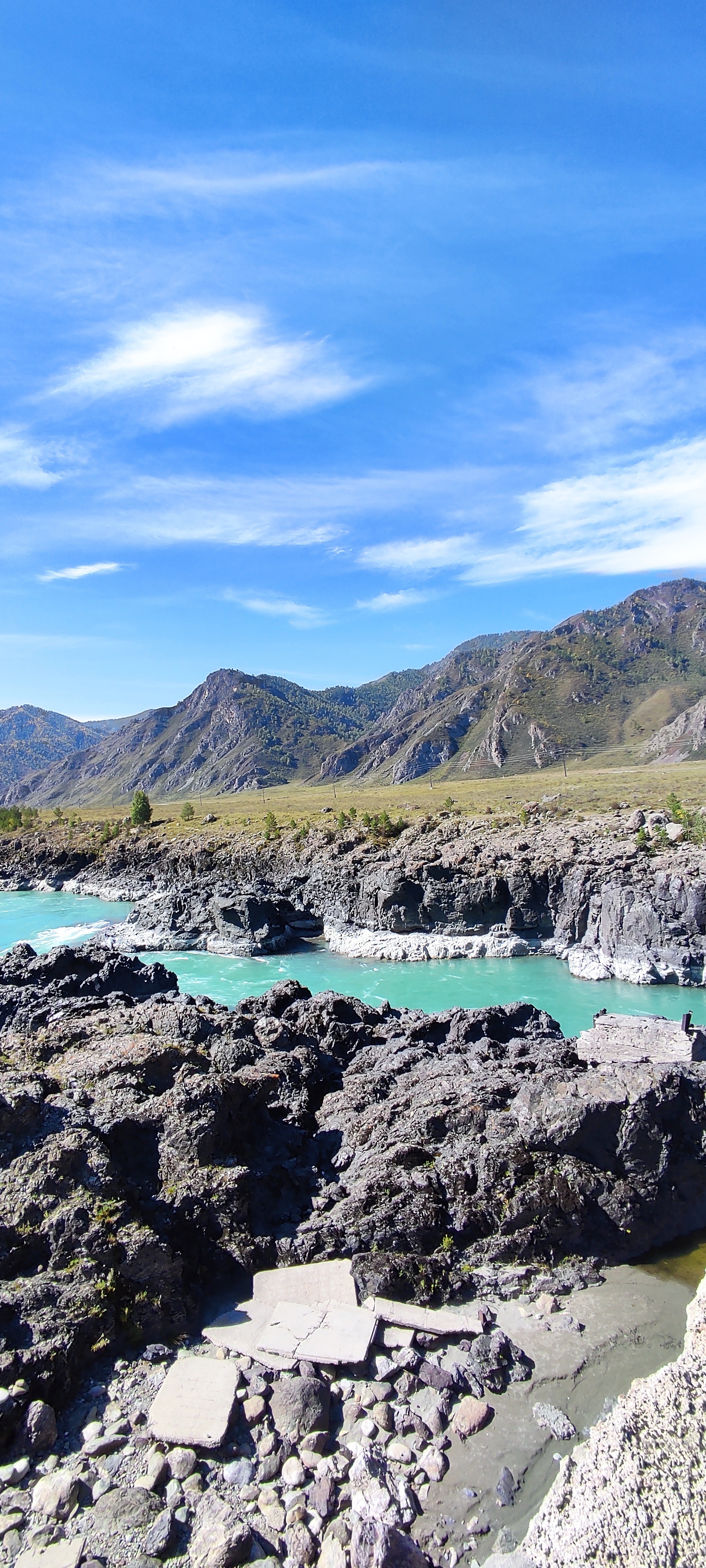 Цветение Маральника - Сиреневые горы Алтая (6/18)