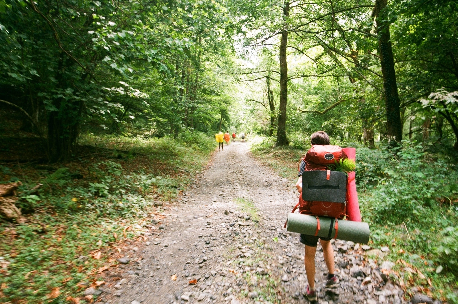 Адыгея. Через горы к морю. 30 маршрут (26/28)