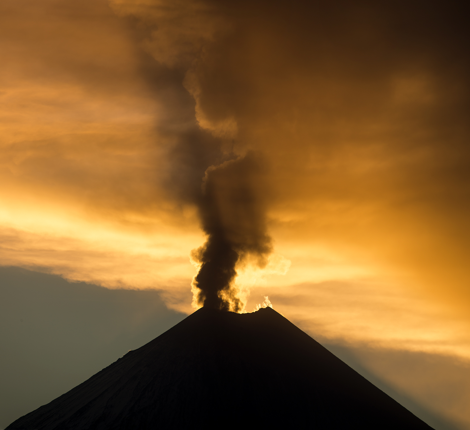 2026 Киты, Вулканы, Медведи, Баня на Берегу Океана. Вау! (9/45)