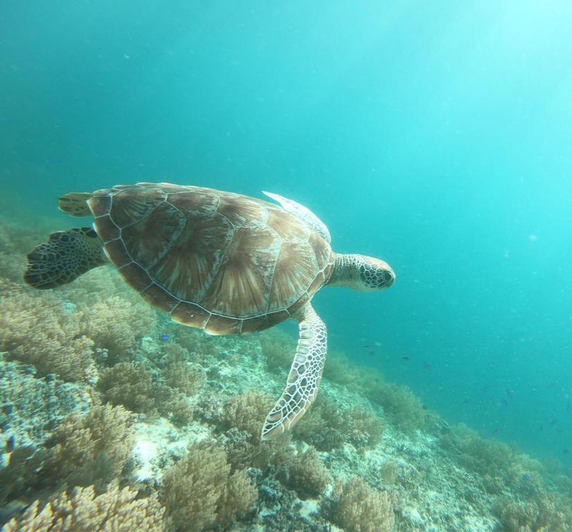 Бали + острова Гили (3/70)