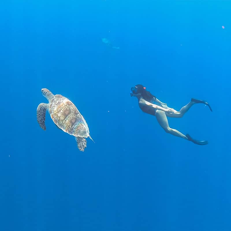 Бали + острова Гили (20/70)