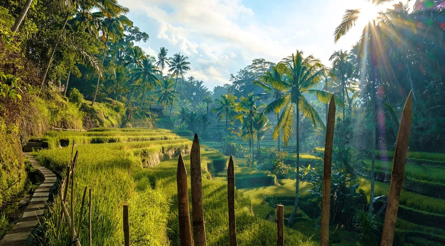 Бали + острова Гили (24/70)