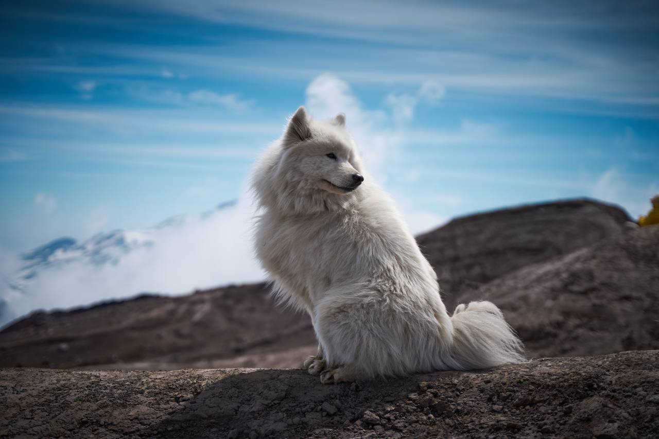 Вся Камчатка за 13 дней! (Без рюкзаков) (10/59)