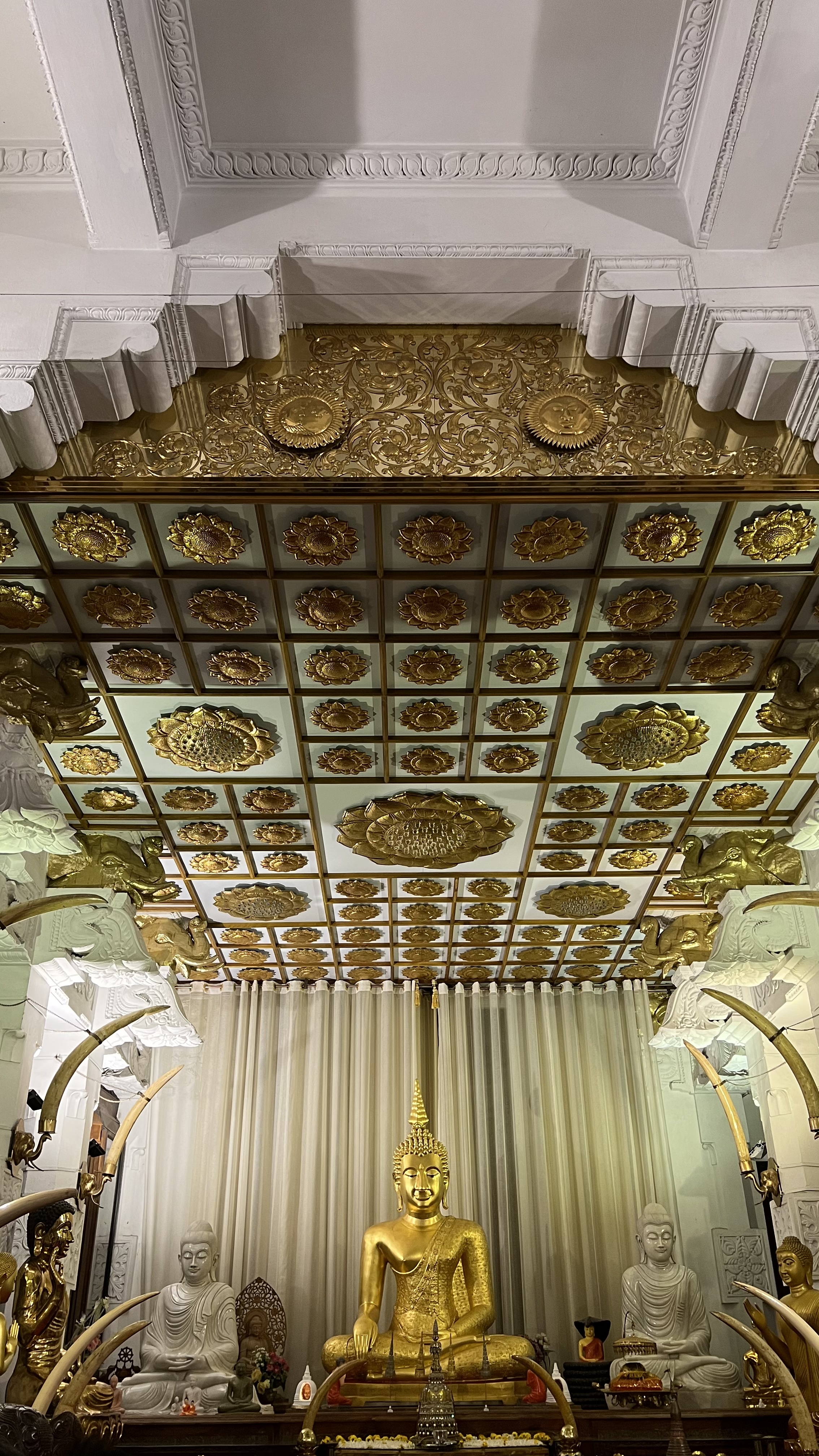 Приключения на Шри-Ланке (150/173)