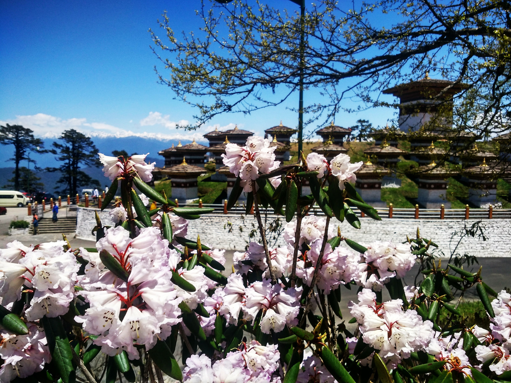 Тсечу - фестиваль в Бутане (9/12)