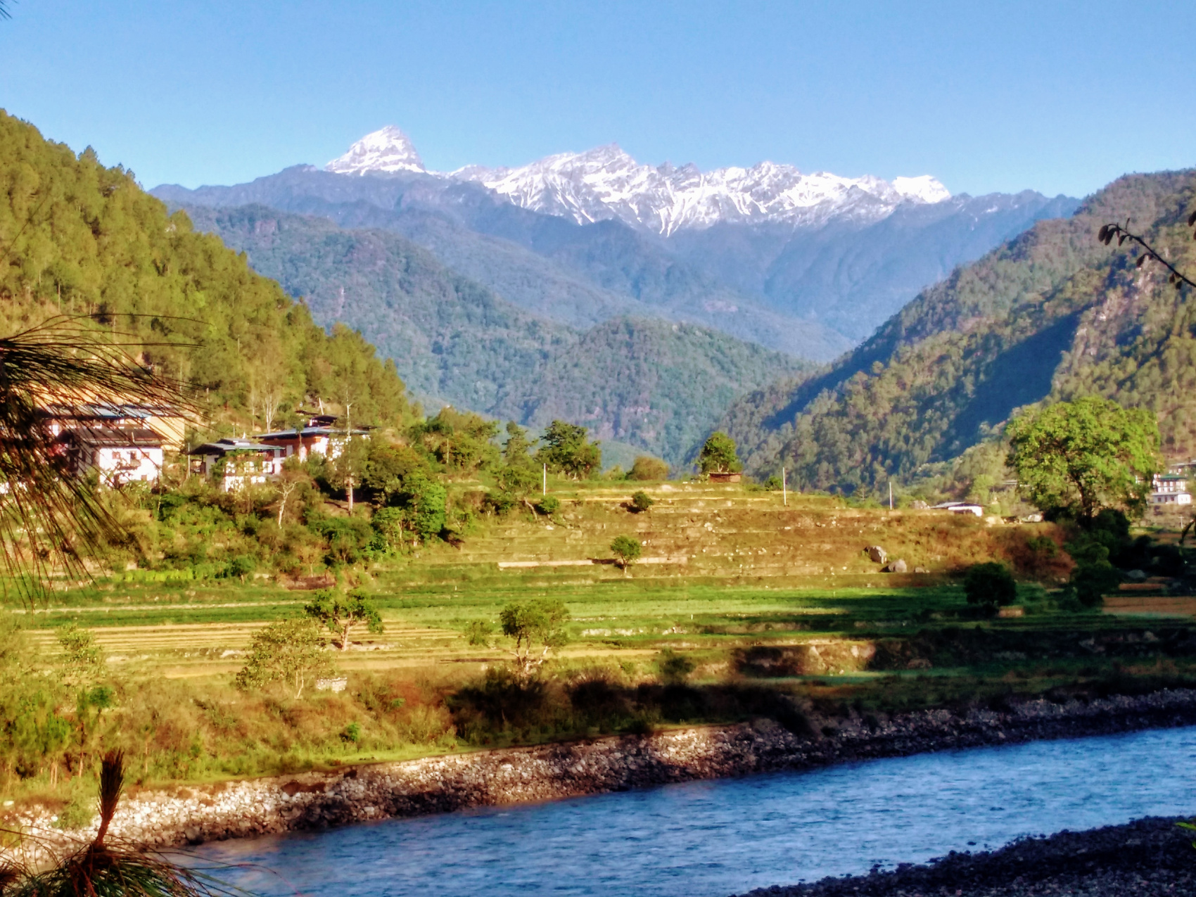 Тсечу - фестиваль в Бутане (7/12)