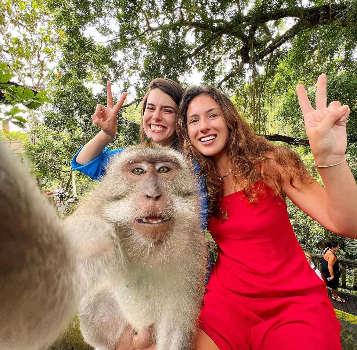 Насыщенный Тур На 3 Острова: Бали, Нуса-Пенида И Ява (11/134)