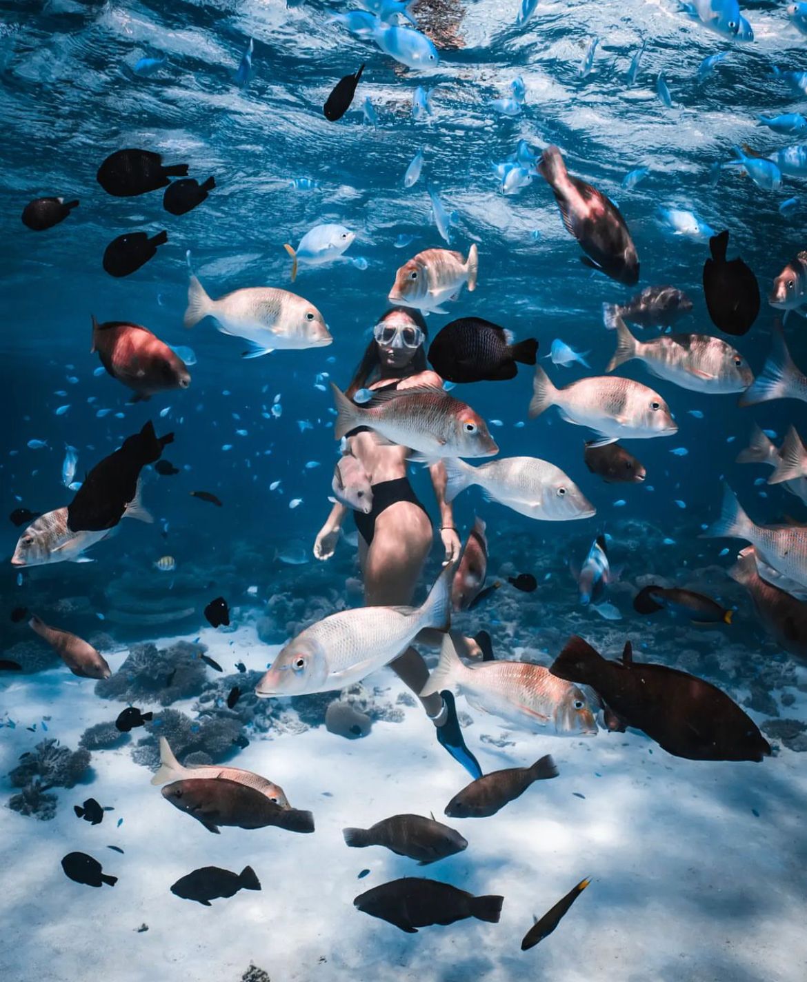 Насыщенный Тур На 3 Острова: Бали, Нуса-Пенида И Ява (12/134)