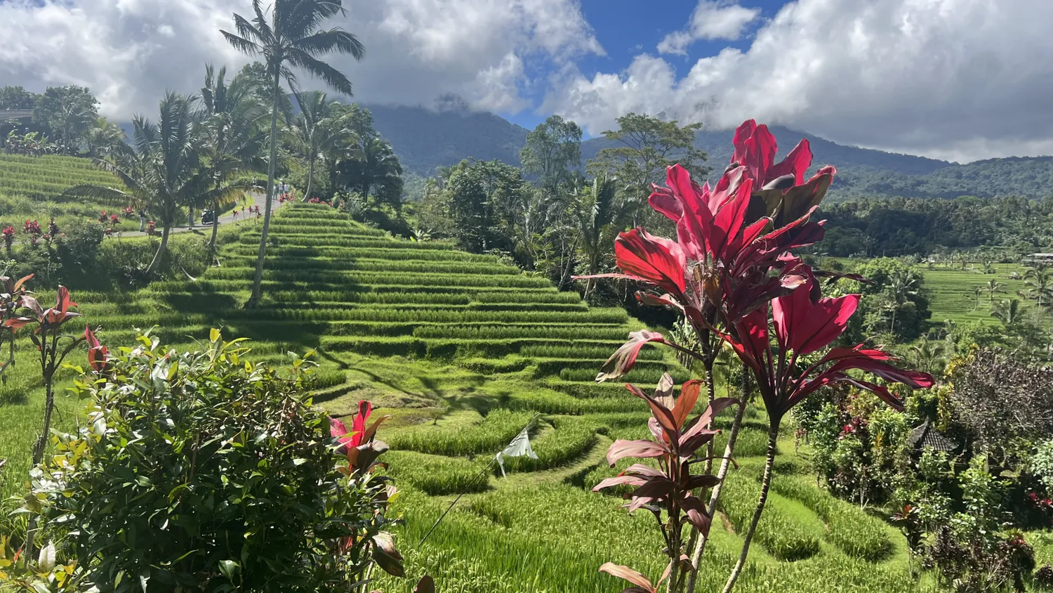 Насыщенный Тур На 3 Острова: Бали, Нуса-Пенида И Ява (29/134)