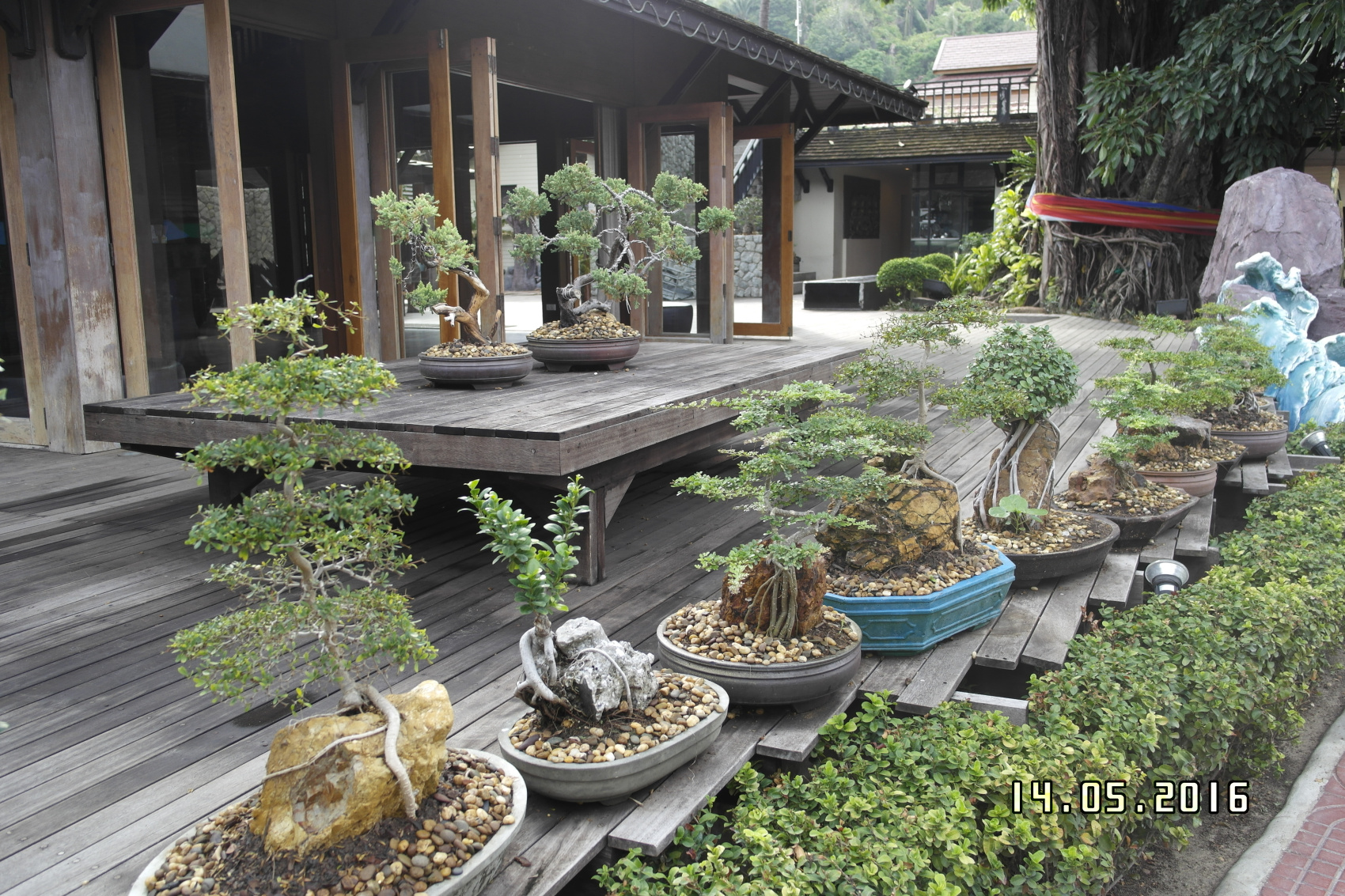 Таиланд со вкусом (4/42)