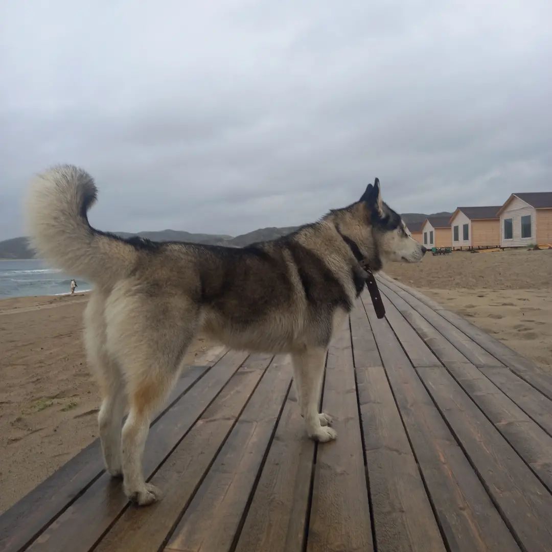 Путешествие за северным сиянием! Все Включено! (13/72)