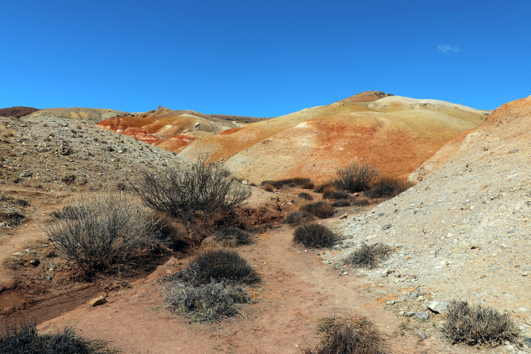 Перевалы Чуйского тракта и Кату-Ярык (мини-группа до 4 чел.) (18/41)