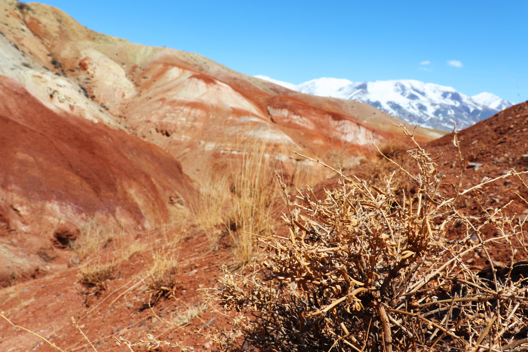 Перевалы Чуйского тракта и Кату-Ярык (мини-группа до 4 чел.) (4/41)