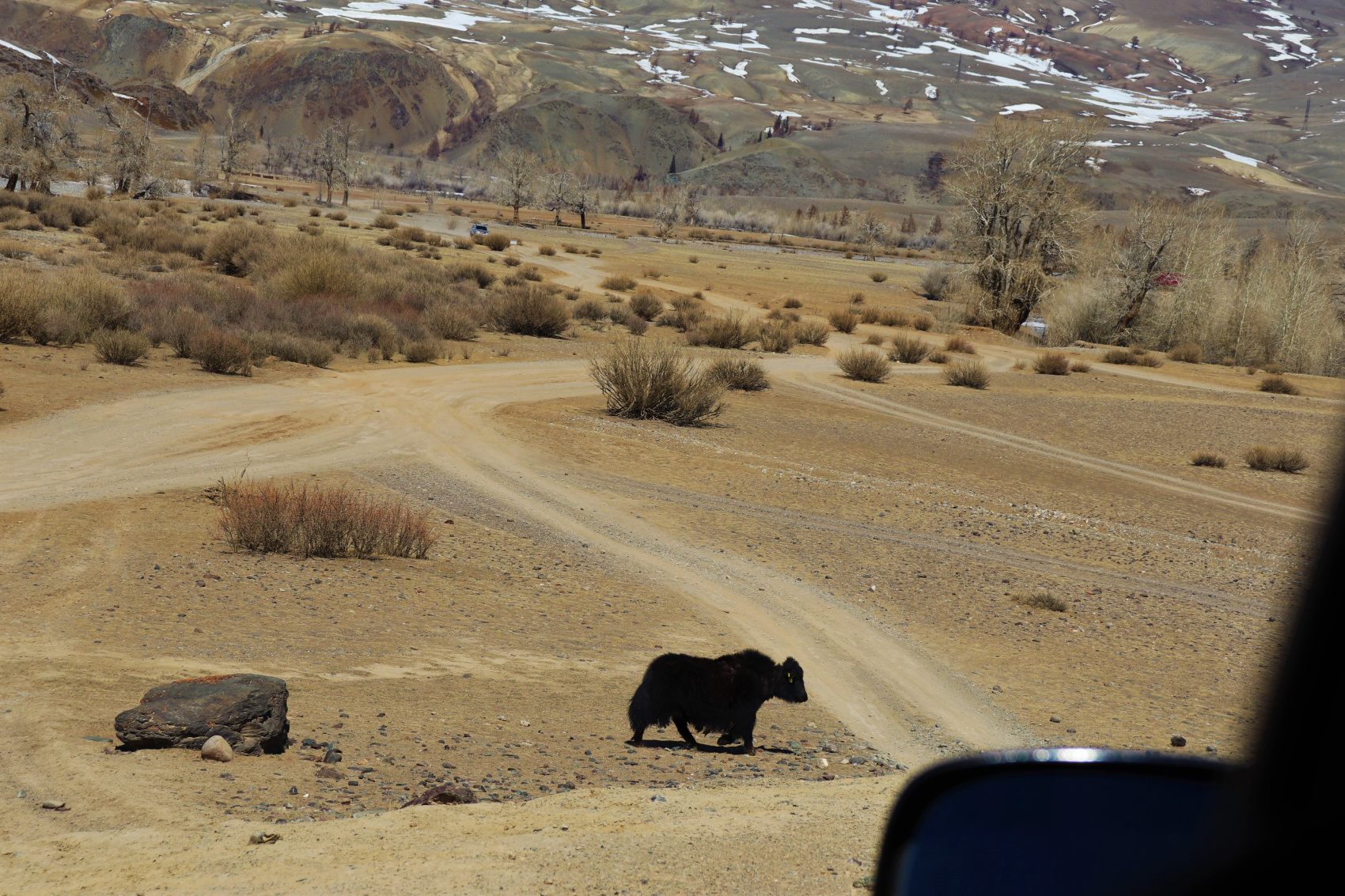 Перевалы Чуйского тракта и Кату-Ярык (мини-группа до 4 чел.) (20/41)