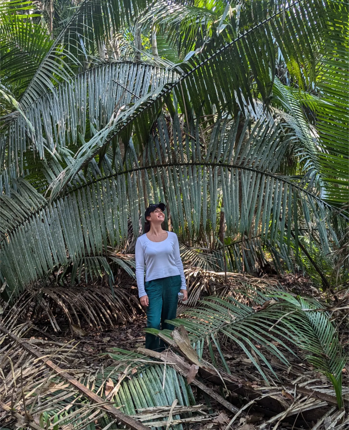 Карнавал В Рио, Амазония и водопады Игуасу: приключения в сердце тропиков (26/61)