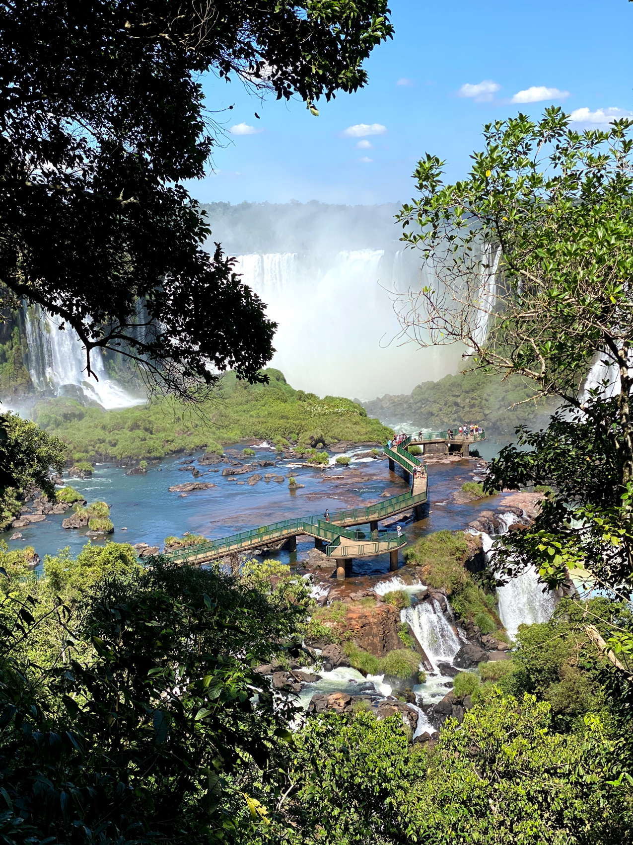 Карнавал В Рио, Амазония и водопады Игуасу: приключения в сердце тропиков (8/61)