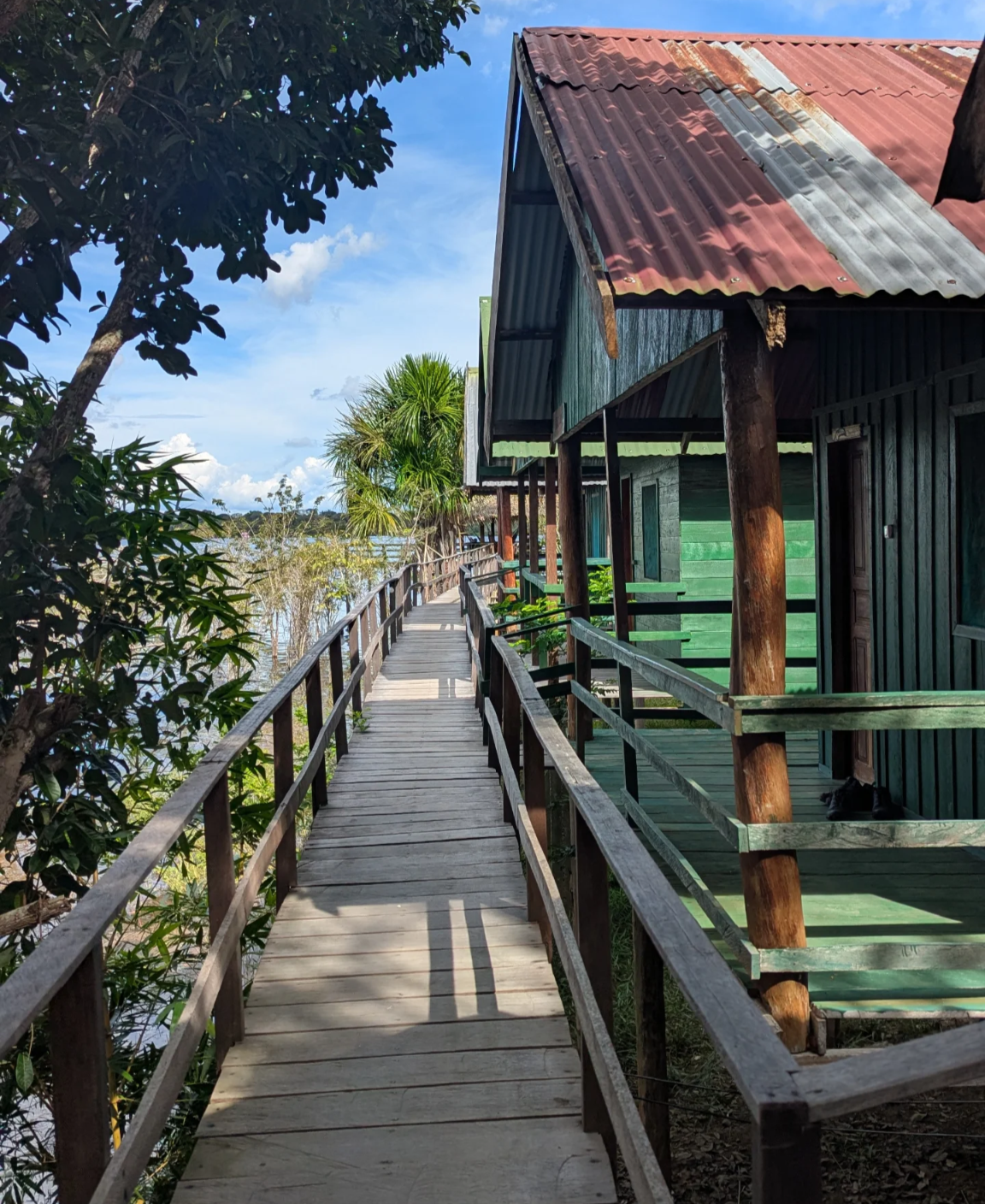 Карнавал В Рио, Амазония и водопады Игуасу: приключения в сердце тропиков (31/61)